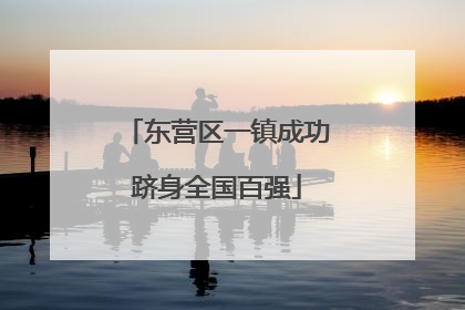 东营区一镇成功跻身全国百强