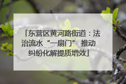 东营区黄河路街道：法治流水“一扇门” 推动纠纷化解提质增效