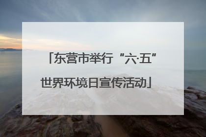 东营市举行“六·五”世界环境日宣传活动