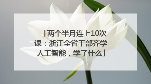 两个半月连上10次课：浙江全省干部齐学人工智能，学了什么
