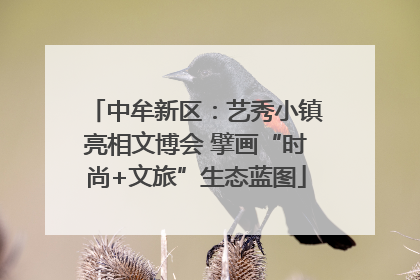 中牟新区：艺秀小镇亮相文博会 擘画“时尚+文旅”生态蓝图