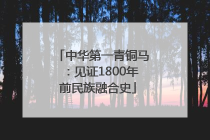 中华第一青铜马：见证1800年前民族融合史
