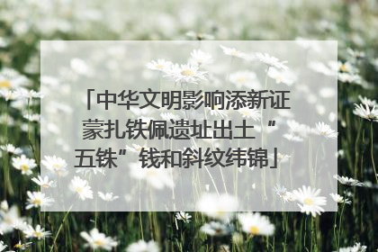 中华文明影响添新证 蒙扎铁佩遗址出土“五铢”钱和斜纹纬锦