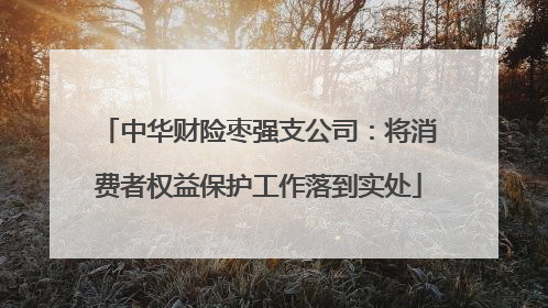中华财险枣强支公司：将消费者权益保护工作落到实处
