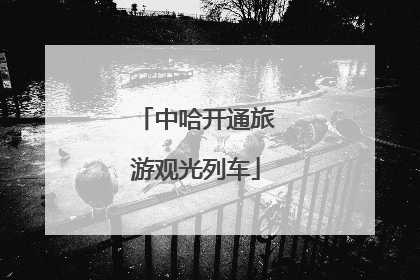 中哈开通旅游观光列车