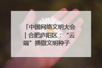 中国网络文明大会｜合肥庐阳区：“云端”播撒文明种子 共建清朗网络空间