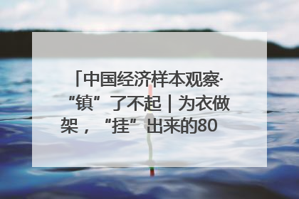 中国经济样本观察·“镇”了不起｜为衣做架，“挂”出来的80亿元“衣架产业”
