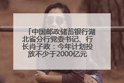 中国邮政储蓄银行湖北省分行党委书记、行长肖子政：今年计划投放不少于2000亿元支持支点建设