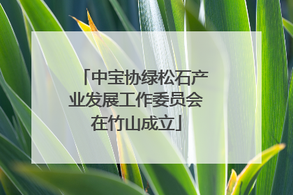 中宝协绿松石产业发展工作委员会在竹山成立