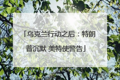 乌克兰行动之后：特朗普沉默 美特使警告