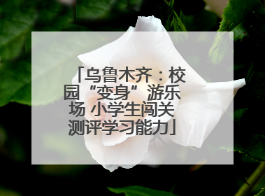 乌鲁木齐：校园“变身”游乐场 小学生闯关测评学习能力