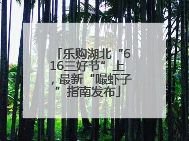 乐购湖北“616三好节”上，最新“嘬虾子”指南发布