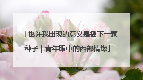 也许我出现的意义是播下一颗种子｜青年眼中的西部情缘