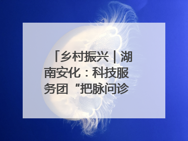 乡村振兴｜湖南安化：科技服务团“把脉问诊”水果产业