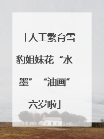 人工繁育雪豹姐妹花“水墨”“油画”六岁啦