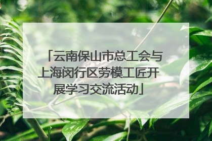 云南保山市总工会与上海闵行区劳模工匠开展学习交流活动