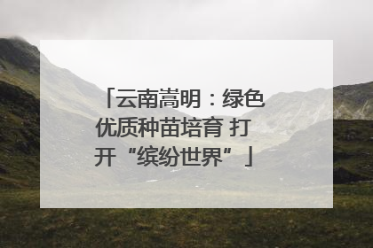 云南嵩明：绿色优质种苗培育 打开“缤纷世界”
