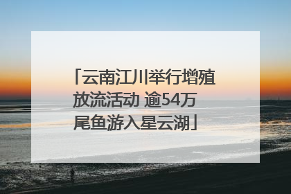 云南江川举行增殖放流活动 逾54万尾鱼游入星云湖