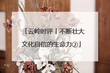 云岭时评丨不断壮大文化自信的生命力②
