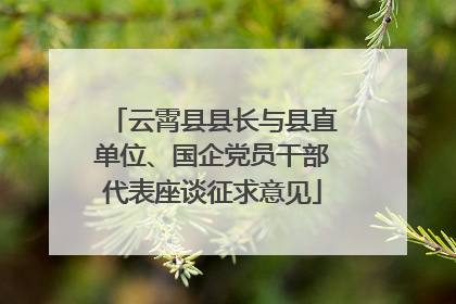 云霄县县长与县直单位、国企党员干部代表座谈征求意见