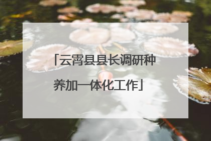 云霄县县长调研种养加一体化工作