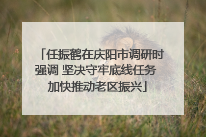 任振鹤在庆阳市调研时强调 坚决守牢底线任务 加快推动老区振兴