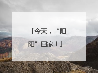 今天，“阳阳”回家！
