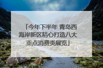 今年下半年 青岛西海岸新区精心打造八大重点消费类展览