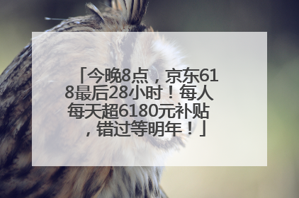今晚8点，京东618最后28小时！每人每天超6180元补贴，错过等明年！