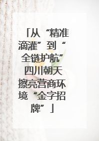 从“精准滴灌”到“全链护航” 四川朝天擦亮营商环境“金字招牌”