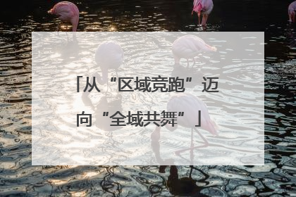 从“区域竞跑”迈向“全域共舞”