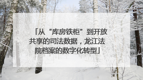 从“库房铁柜”到开放共享的司法数据，龙江法院档案的数字化转型