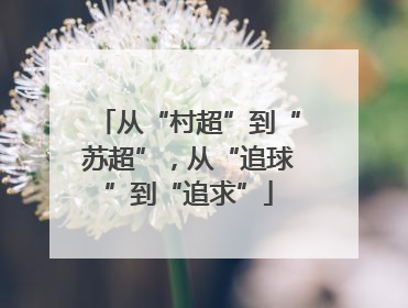 从“村超”到“苏超”，从“追球”到“追求”