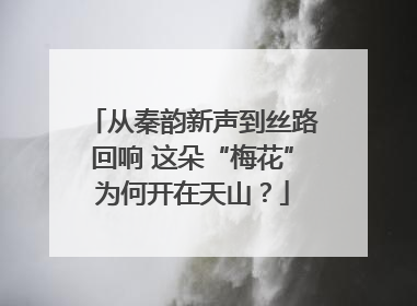 从秦韵新声到丝路回响 这朵“梅花”为何开在天山？