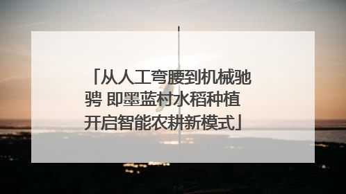 从人工弯腰到机械驰骋 即墨蓝村水稻种植开启智能农耕新模式