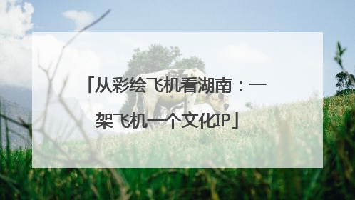 从彩绘飞机看湖南：一架飞机一个文化IP
