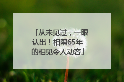 从未见过，一眼认出！相隔65年的相见令人动容