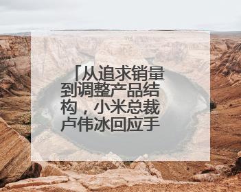 从追求销量到调整产品结构，小米总裁卢伟冰回应手机大盘变动