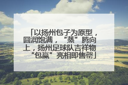 以扬州包子为原型，圆润饱满，“蒸”腾向上，扬州足球队吉祥物“包赢”亮相即售罄
