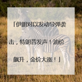 伊朗对以发动导弹袭击，特朗普发声！油价飙升，金价大涨！