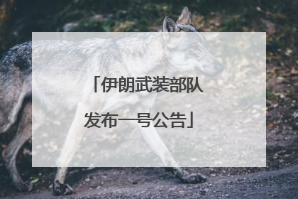 伊朗武装部队发布一号公告