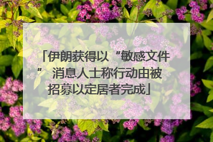 伊朗获得以“敏感文件” 消息人士称行动由被招募以定居者完成