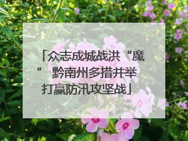 众志成城战洪“魔” 黔南州多措并举打赢防汛攻坚战