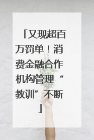 又现超百万罚单！消费金融合作机构管理“教训”不断