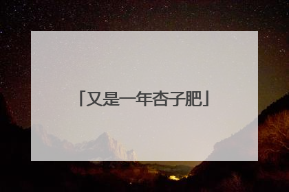 又是一年杏子肥