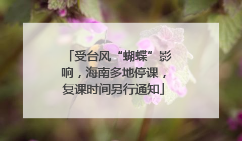 受台风“蝴蝶”影响，海南多地停课，复课时间另行通知