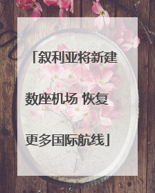 叙利亚将新建数座机场 恢复更多国际航线
