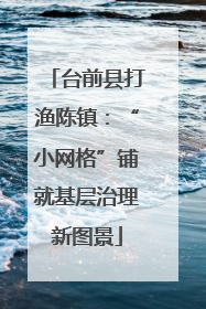 台前县打渔陈镇：“小网格”铺就基层治理新图景
