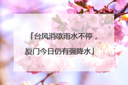 台风消歇雨水不停，厦门今日仍有强降水
