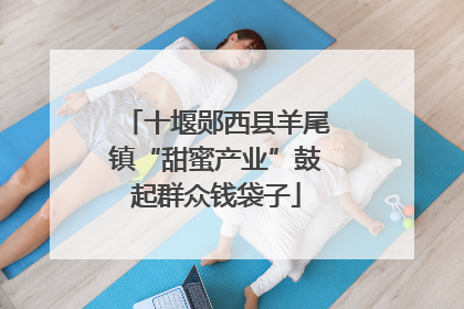 十堰郧西县羊尾镇“甜蜜产业”鼓起群众钱袋子